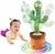 CACTUS BAILARIN 2X1 - tienda online