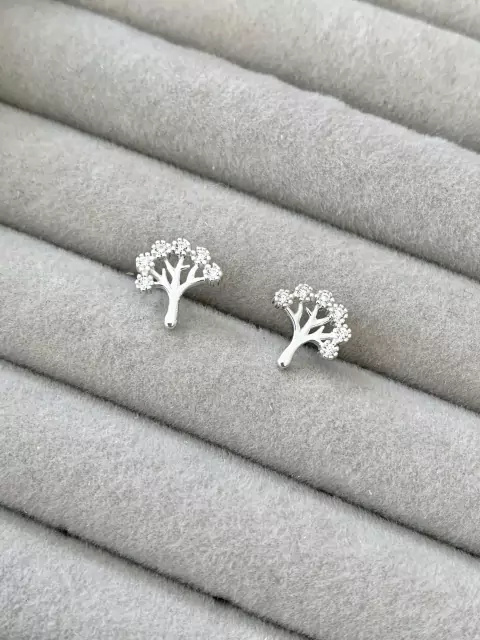 Brinco Prata 925 - 10087