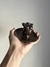 Mini escultura torso masculino