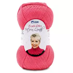 FIO TODO DIA CISNE 100g - Loja Dominó