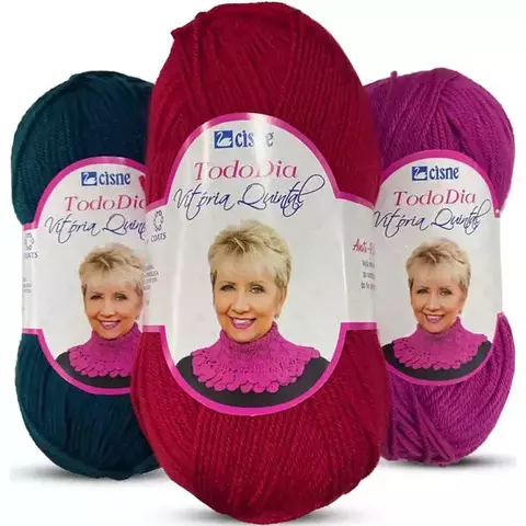 FIO TODO DIA CISNE 100g - comprar online