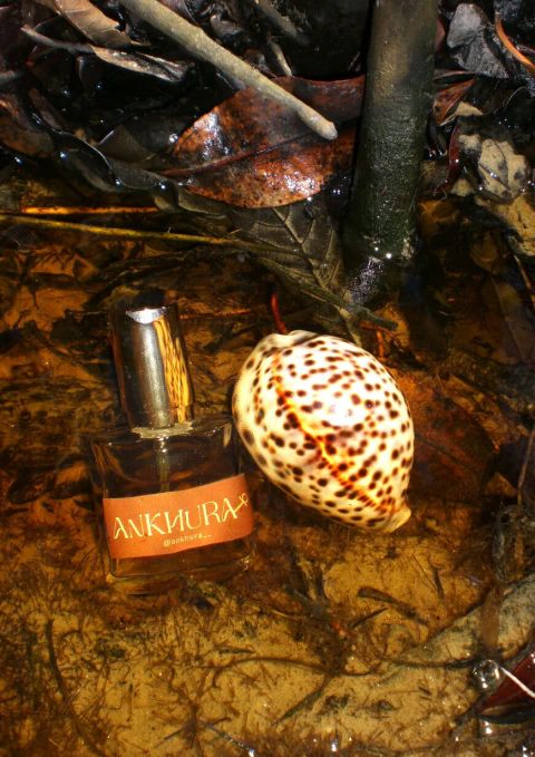 Perfume - Banho de Rio & Terra - comprar online