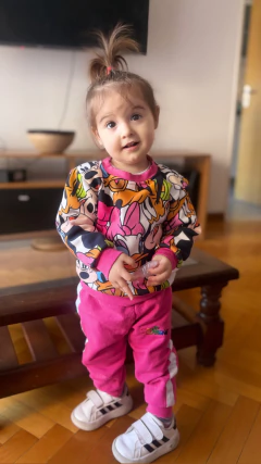 Conjunto Minnie y amigos - comprar online