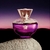 Versace Dylan Purple - 100 ml na internet