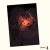Guapoduo Youngblood - Print - comprar online