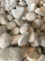 Piedra Córdoba Rodada Blanca - comprar online