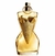 Jean Paul Divine Gaultier - Feminino Parfum 100 ml - comprar online