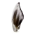Mordedor Natural Orelha Bovina - Preciosa AlecrimPet P/Cães - comprar online