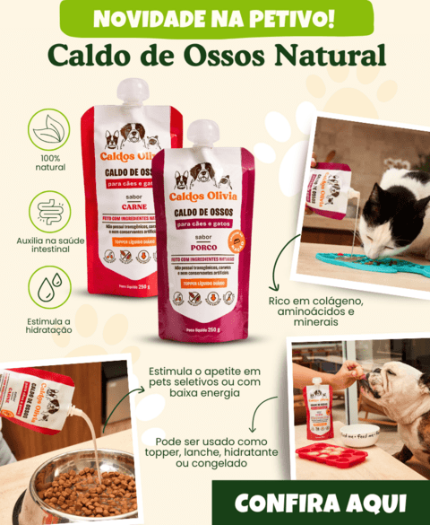 Carrossel 1
