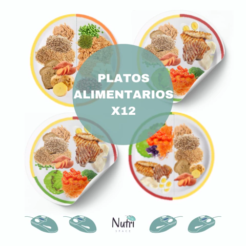 Platos variedad (12 unidades)
