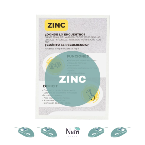 Infografia ZINC