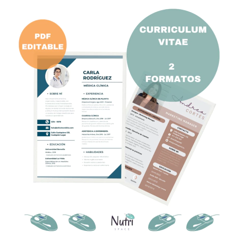 Curriculum Vitae