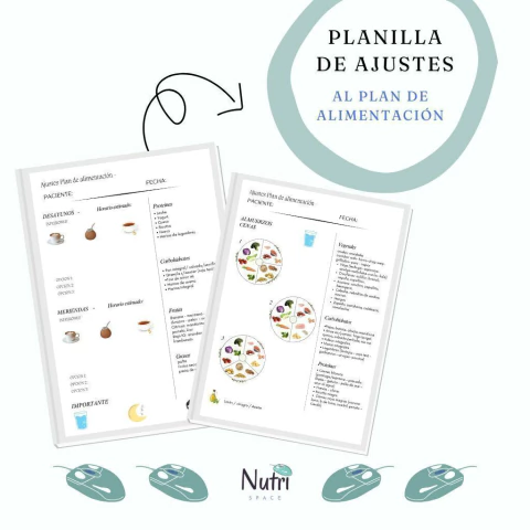 PLANILLA DE AJUSTES - AL PLAN DE ALIMENTACIÓN
