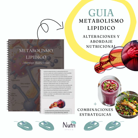 Guia metabolismo Lipidico ; Colesterol.