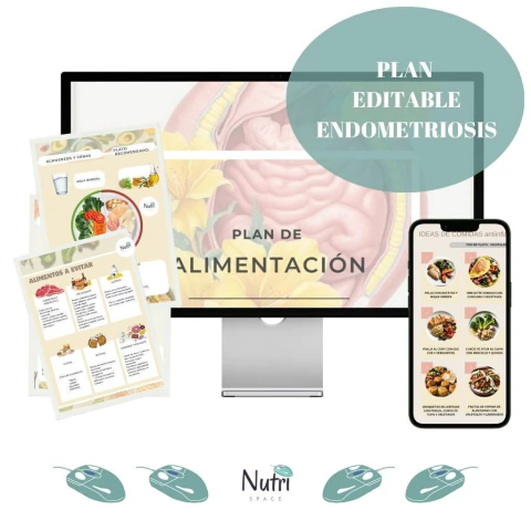 Plan editable ENDOMETRIOSIS - comprar online
