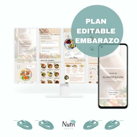 Plan editable EMBARAZO - comprar online