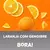 Pré Treino Bóra Sabor Laranja c/ Gengibre 300g - Emana (94010) - loja online