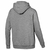 PUMA ESS BIG LOGO HOODIE TR en internet