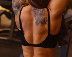 Top Costa aberta na internet