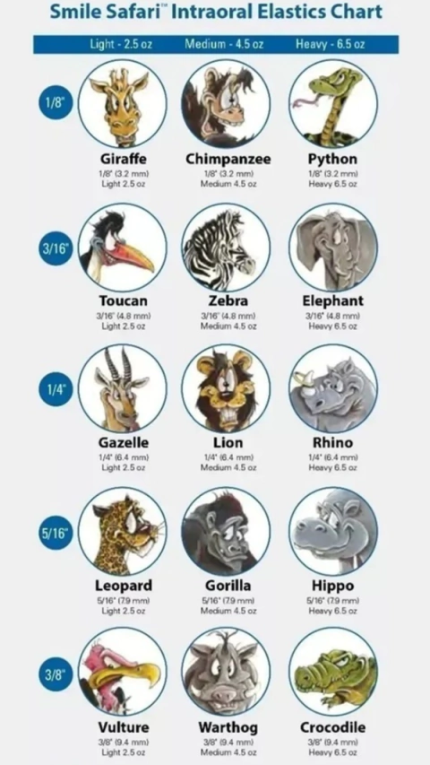 Gomas Intraorales Ortodoncia. ORTHO ORGANIZERS