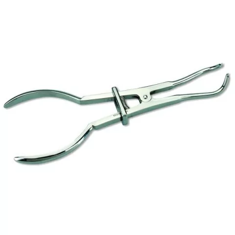 Porta CLAMPS. PANORAMA