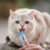 Churu - Petisco para Gatos Galinha na internet