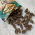 Petisco Macio Carnilove Carpa enriquecida com Tomilho (200g) - comprar online