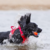 Bola Chuckit! Amphibious Balls (3 un) - loja online