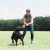 Bola com Corda Chuckit! Rope Fetch - comprar online