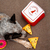 Pelúcia Interativa Zippy Burrow Pizza Box - Joot Pet