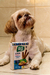 Kit 5 Petiscos Pet Au & Miau Para Cão Imune 50g Stick - comprar online