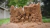 Monster Jam Monster Dirt Arena Set - True Metal Earth Shaker - tienda online
