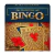 Spin Master Bingo