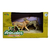 Animales De La Selva Chita Animal World