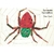 ARAÑA HACENDOSA