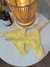 Calcinhas Lesy - loja online