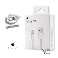 Cable datos Iphone