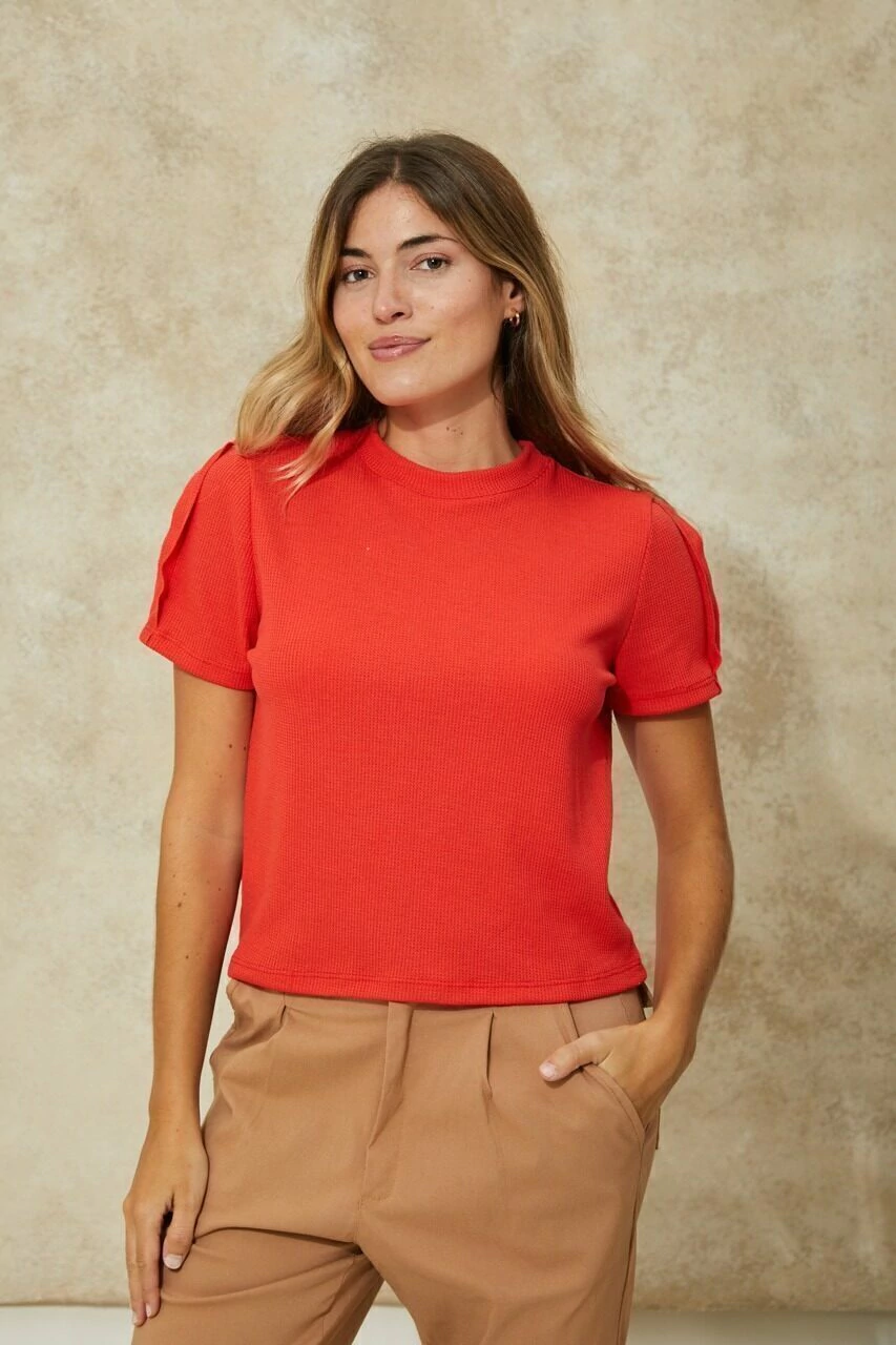 Remera Pocica en internet