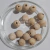 Bolita de Madera 14 mm diam. - comprar online