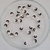 Cuenta Fimo Ying y Yang Blanco - comprar online