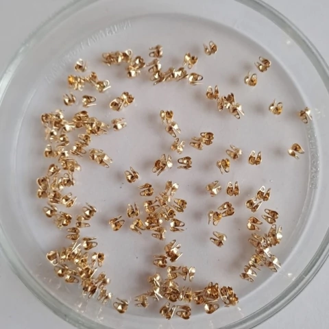 Tapanudo Mariposa Dorada 2.2mm x 10 un. - comprar online