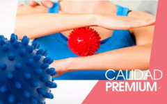 ¡PROMO 2X1! Pelota Masajeadora © FULL - tienda online