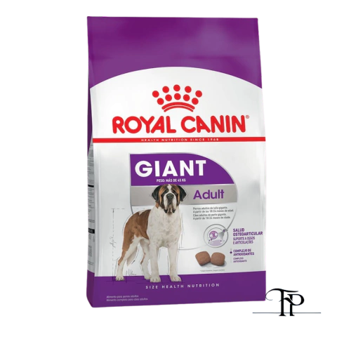 Royal Giant Adulto x15