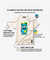 Camiseta Capivara Fitness Unissex Algodão Premium - Estilo Divertido e Fitness - loja online