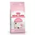 [1,5kg] Royal Canin Gato Kitten