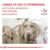 [6 latas] Royal Canin Recovery (Gato y Perro) de 195gr c/u
