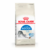 [7,5kg] Royal Canin Gato Indoor - comprar online