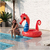 Inflable Caballito de Mar Rojo Hoke® 150cm x 120cm en internet