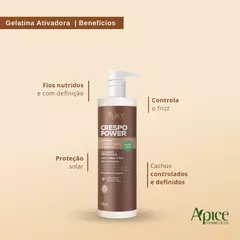 Gelatina Ativadora e Umidificadora Crespo Power Ápice 500ml - comprar online