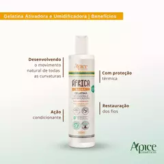 Gelatina Ativadora e Umidificadora África Baobá Restauradora Ápice 300ml - comprar online
